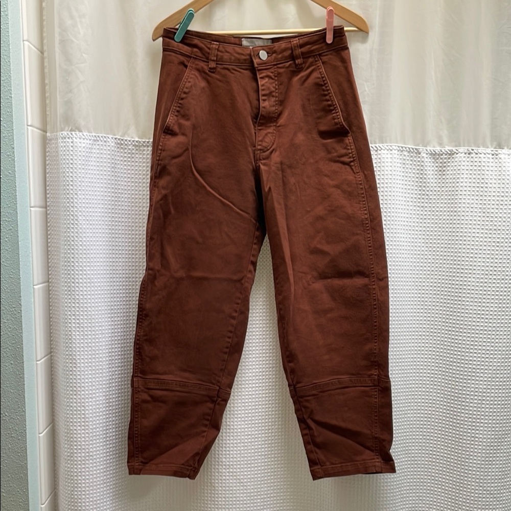 Everlane Utility Barrel Pant
